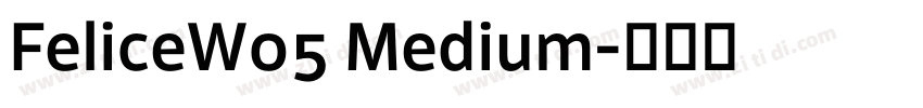 FeliceW05 Medium字体转换